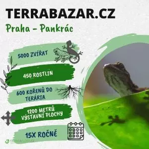 1.6.2024 - TERRABAZAR - Výstavní a prodejní burza exotických zvířat, rostlin a chovatelských potře